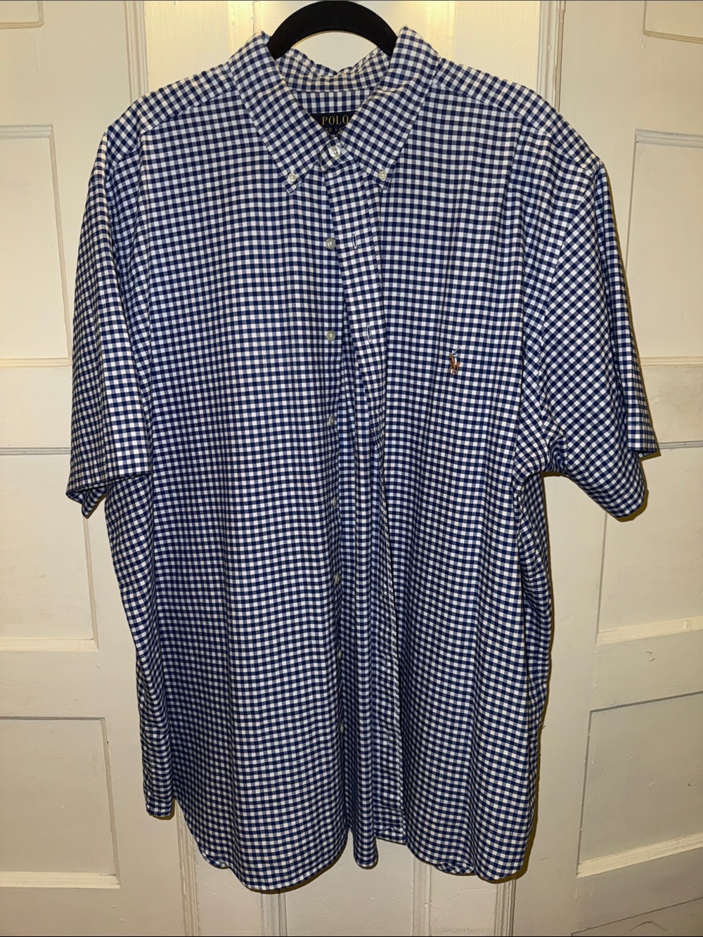 Polo by Ralph Lauren Blue and White Gingham Short-Sleeve Button-Down Shirt